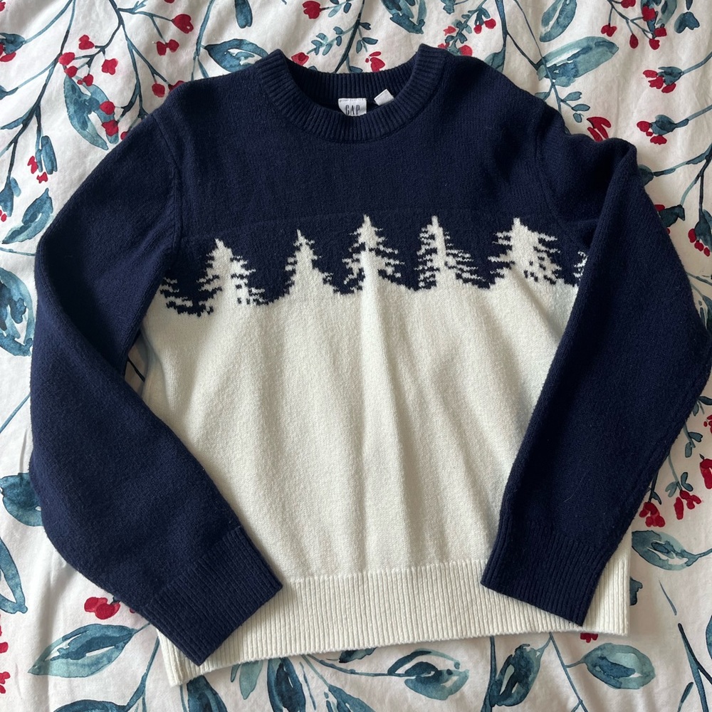 Boys Gap sweater